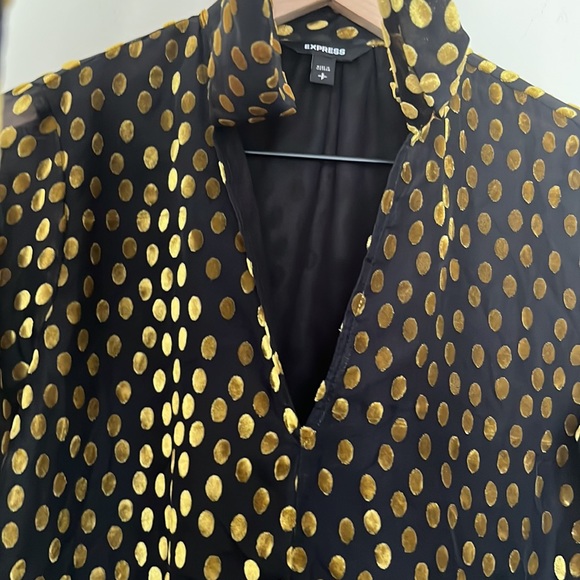 Express Long Sleeve Sheer Lined Gold Velvet Dot Blouse Size Small - Picture 8 of 11